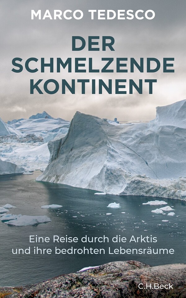 Book: Der schmelzende Kontinent by Marco Tedesco