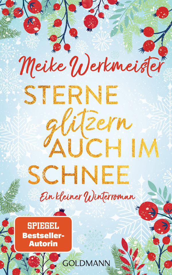 Buch: »Sterne glitzern auch im Schnee« von Meike Werkmeister